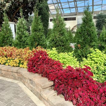 Foellinger-Freimann Botanical Conservatory - Botanical Gardens Near Me - Fort Wayne, Indiana
