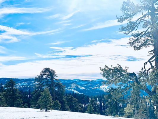 Badger Pass Ski Area by null
