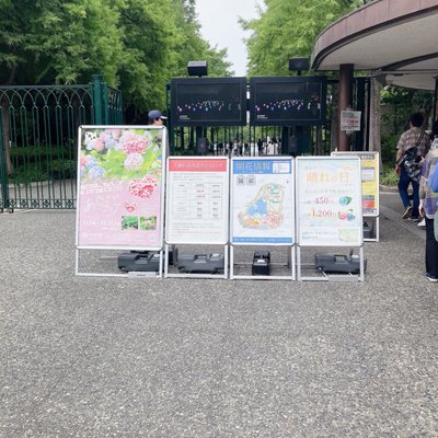teamLab Botanical Garden Osaka by null