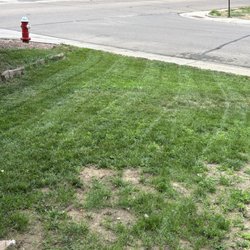 Hover Landscaping - Mowed in Longmont 40$ front and back 30$ for dog pop removal free estimates