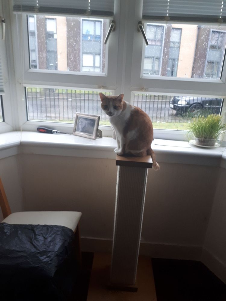 THE CANDY ROOMS Updated March 2024 26 Photos Glasgow, United