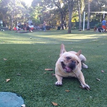 Blanche Park - Dog Parks Near Me - Miami, Florida