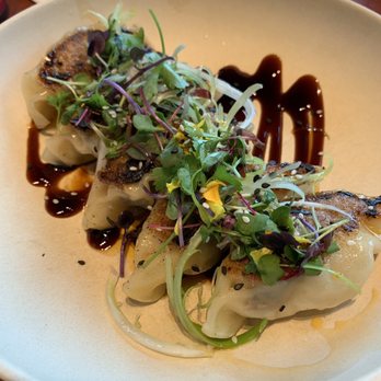 Noodle Tree - Dumplings - Ramen Near Me - San Antonio, Texas Noodle Tree - Dumplings - Ramen Near Me - San Antonio, Texas