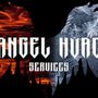 Photo of Angel HVAC Services