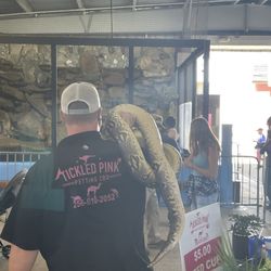 Alabama National Fair - Petting zoo