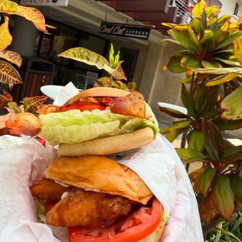 Cool Cat Express - Classic BLT and our new KP Crispy Chicken Sandwich - Burgers Near Me - Lahaina, Hawaii Cool Cat Express - Classic BLT and our new KP Crispy Chicken Sandwich - Burgers Near Me - Lahaina, Hawaii
