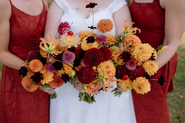 Exfolia Botanical by null