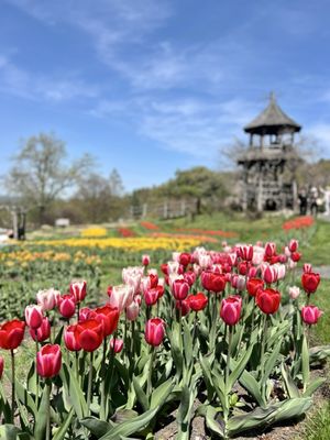 Mohonk Preserve by null