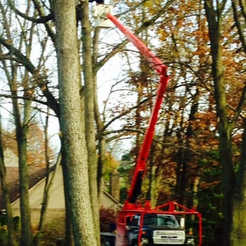 Good Times Tree Service - Tree Services Near Me Good Times Tree Service - Tree Services Near Me