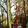 Photo of Good Times Tree Service