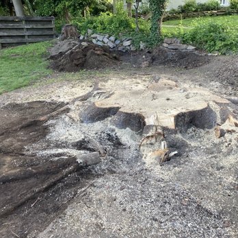 Hillside Nursery - I think I can, I think I can!!!! - Nurseries & Gardening Near Me - Clifton Heights, Pennsylvania Hillside Nursery - I think I can, I think I can!!!! - Nurseries & Gardening Near Me - Clifton Heights, Pennsylvania