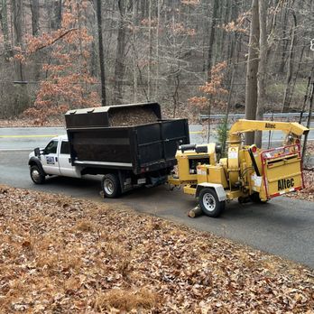 Elias - Tree removal - Tree Services Near Me Elias - Tree removal - Tree Services Near Me