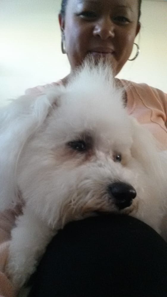 MUDDY PAWS Updated October 2024 816 S Eddy St, Grand Island