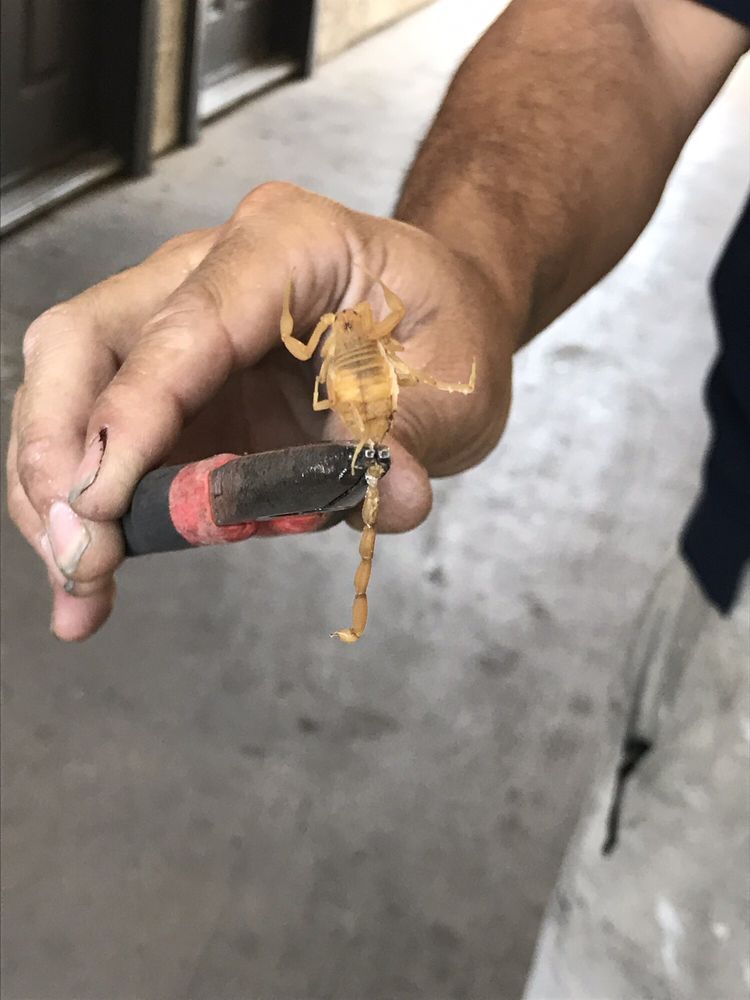 GRANITE BAY APARTMENTS BY CONAM MANAGEMENT 56 Photos & 50 Reviews