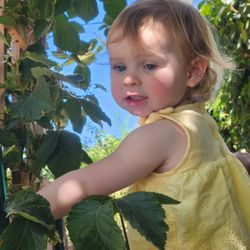 Nature Play