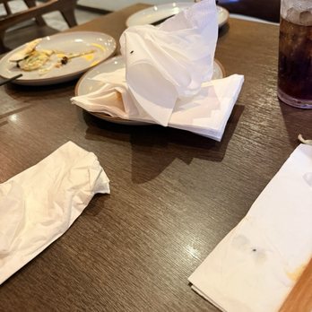 Token Ramen - Flies on napkin from my drink and another just hanging out. - Ramen Near Me - Fort Myers, Florida