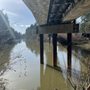 Photo of Tualatin River Greenway Trail