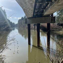 Tualatin River Greenway Trail - View under the pedestrian bridge