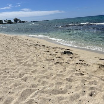 Kuki'o Beach - Resting turtle - Beaches Near Me - Hawaii, Hawaii Kuki'o Beach - Resting turtle - Beaches Near Me - Hawaii, Hawaii