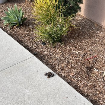 Sola - Sh*t on the walking sidewalk - Apartments Near Me - South Gate, California Sola - Sh*t on the walking sidewalk - Apartments Near Me - South Gate, California