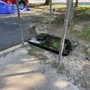 Photo of Royal Oaks Apartments