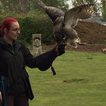 Suffolk Owl Sanctuary - Zoos Near Me - Stowmarket, SFK