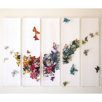 Chrysalis Center - Psychologists Near Me - Southlake, Texas Chrysalis Center - Psychologists Near Me - Southlake, Texas
