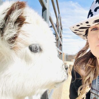 Bougie Cattle Company - Petting Zoos Near Me - Apple Valley, California