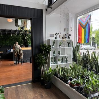 Greenhouse Coffee + Plants - Coffee & Tea Near Me - Corvallis, Oregon Greenhouse Coffee + Plants - Coffee & Tea Near Me - Corvallis, Oregon