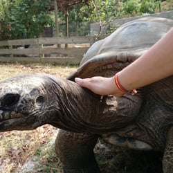 La Vallée des Tortues