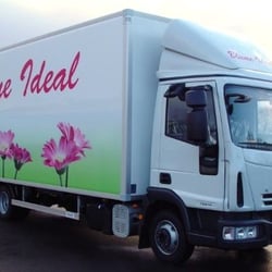 Blume Ideal