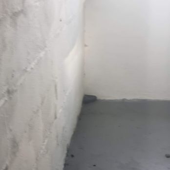 Redex Pest And Mold - Pest Control Near Me - Cleveland, Ohio Redex Pest And Mold - Pest Control Near Me - Cleveland, Ohio