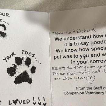 Companion Veterinary Hospital - Sent a card with nose and paw print. - Veterinarians Near Me - Lacey, Washington Companion Veterinary Hospital - Sent a card with nose and paw print. - Veterinarians Near Me - Lacey, Washington