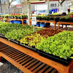 Sloat Garden Center