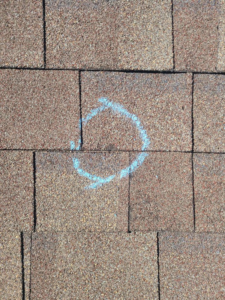 TOP SHELF CONSTRUCTION Updated August 2024 18 Photos 5791 Birch