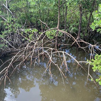 Anne Kolb Nature Center - Parks Near Me - Hollywood, Florida