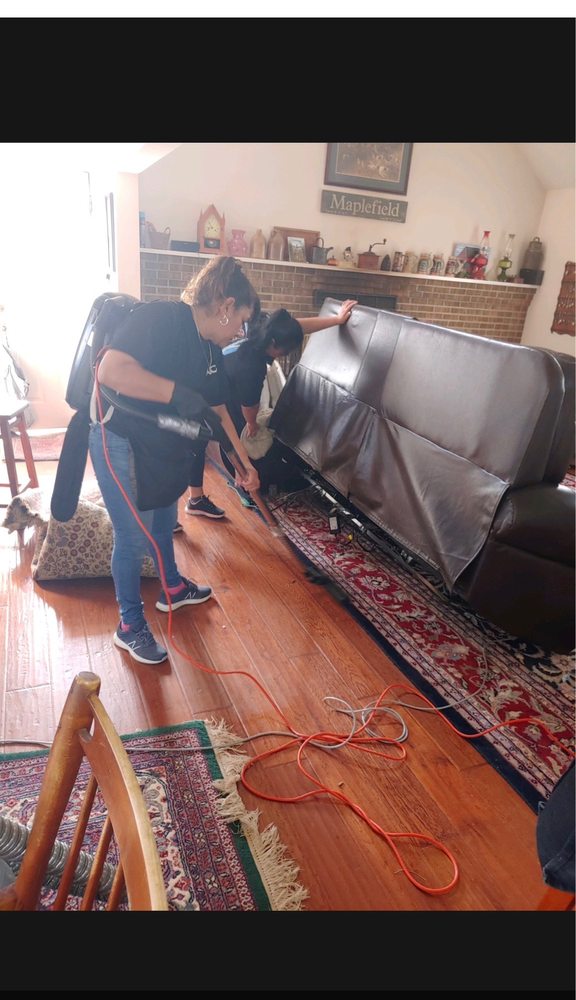 AFFORDABLE CLEANING SERVICES Updated July 2024 11 Photos & 16 Reviews 14689 Lee Hwy