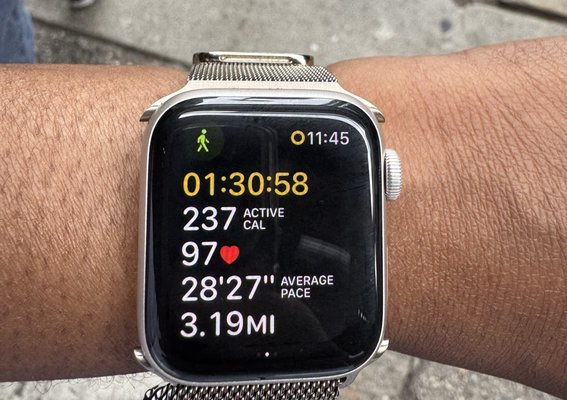 North Avenue Beach by null