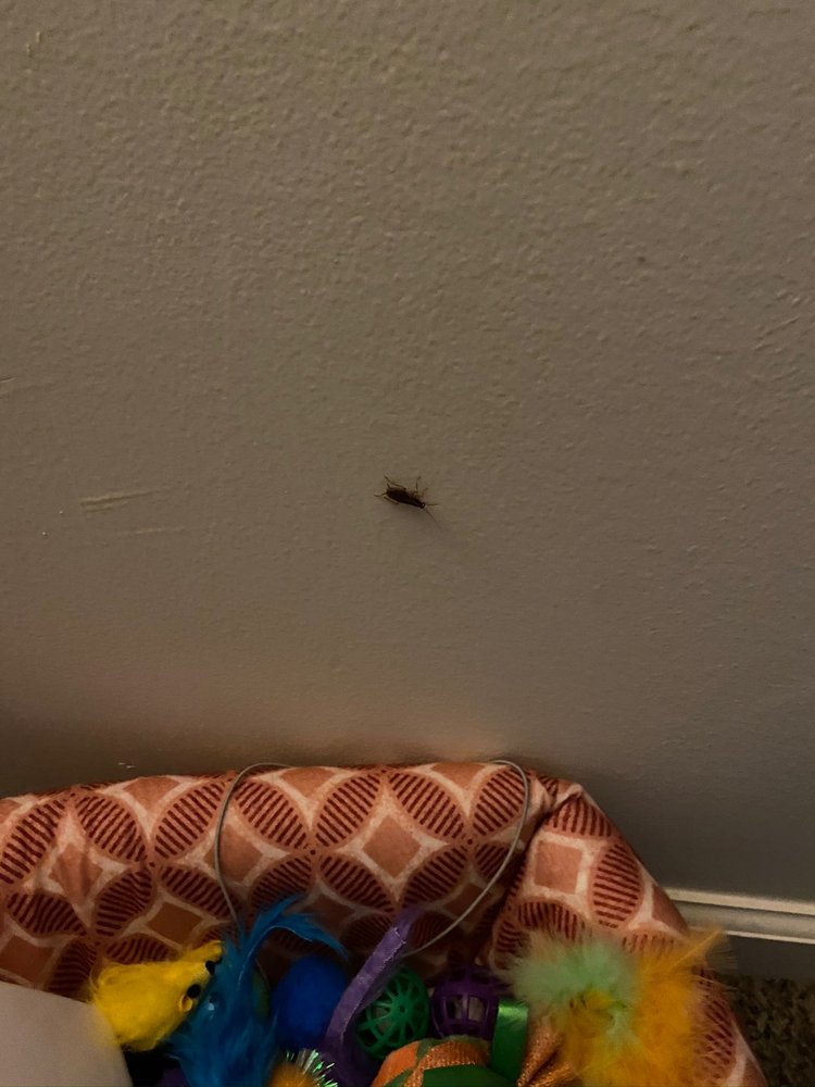 WALDO HEIGHTS APARTMENTS 11 Photos 8101 Campbell St, Kansas City