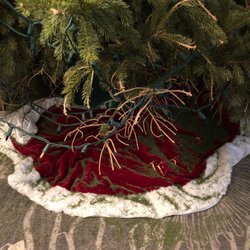 Candy Cane Christmas Tree Farm - Stripped branches.