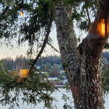 Waterfront Depot Restaurant - The views of the Siuslaw River - Seafood Near Me - Florence, Oregon