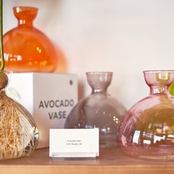 Cloud-Hidden Plants - Ilex Avocado vases at Cloud-Hidden Plants