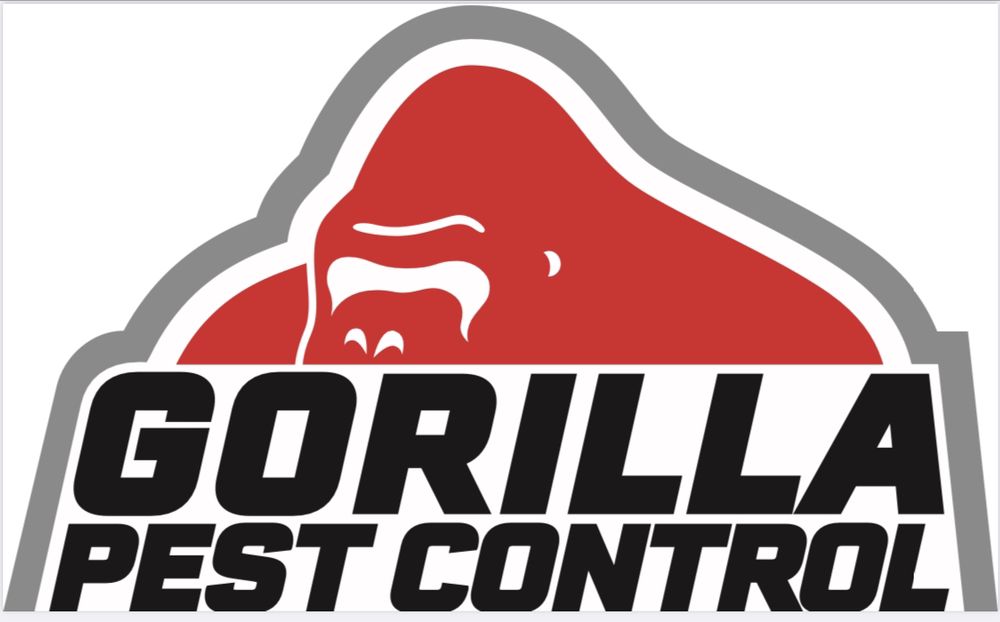 GORILLA PEST CONTROL Updated October 2024 10 Reviews Los Angeles