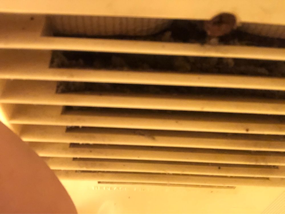 RODEWAY INN 33 Photos & 23 Reviews 8 Crowell Rd, Asheville, North