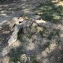 Photo of Precision Stump Grind