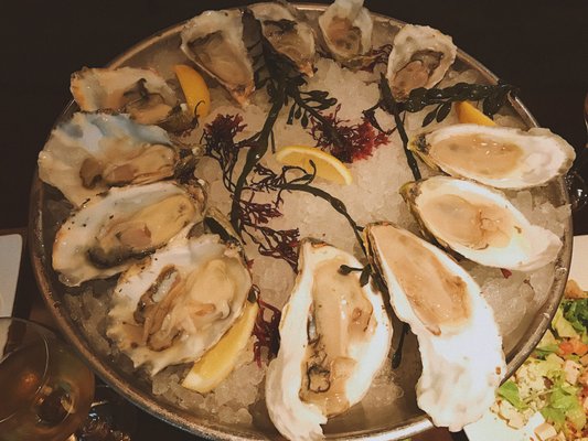 db Bistro & Oyster Bar by Daniel Boulud by null