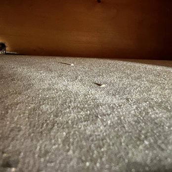 Stanley Steemer - Basement trunk line after duct cleaning - Carpet Cleaning Near Me - Bolingbrook, Illinois Stanley Steemer - Basement trunk line after duct cleaning - Carpet Cleaning Near Me - Bolingbrook, Illinois