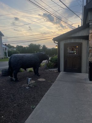 Buckeye Tavern by null