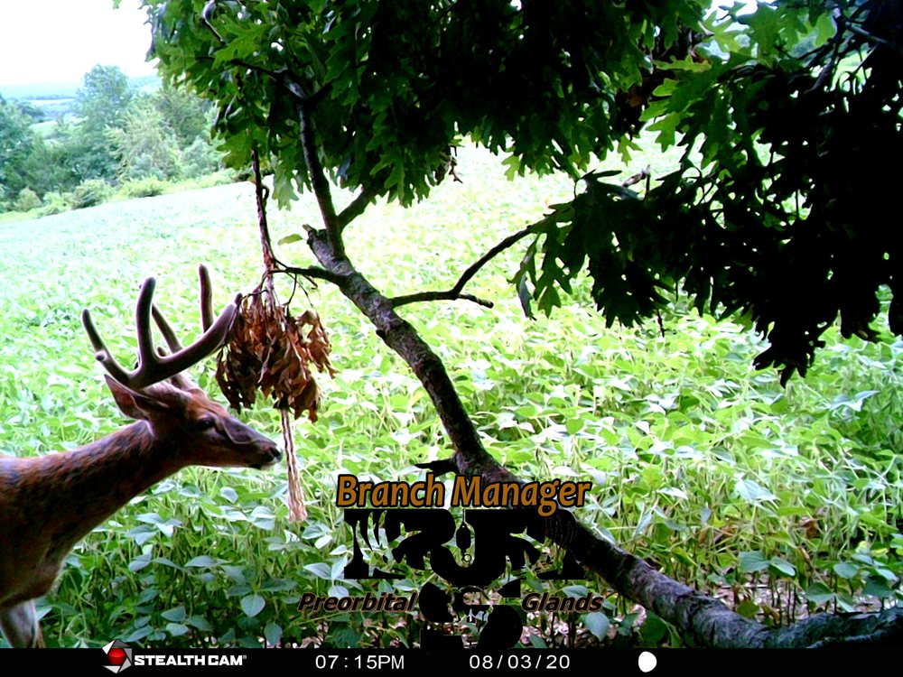 Rocky Run Scents n Camo Logo