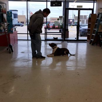 Ruff Tales - Working on down saty. - Pet Training Near Me - Houston, Texas Ruff Tales - Working on down saty. - Pet Training Near Me - Houston, Texas
